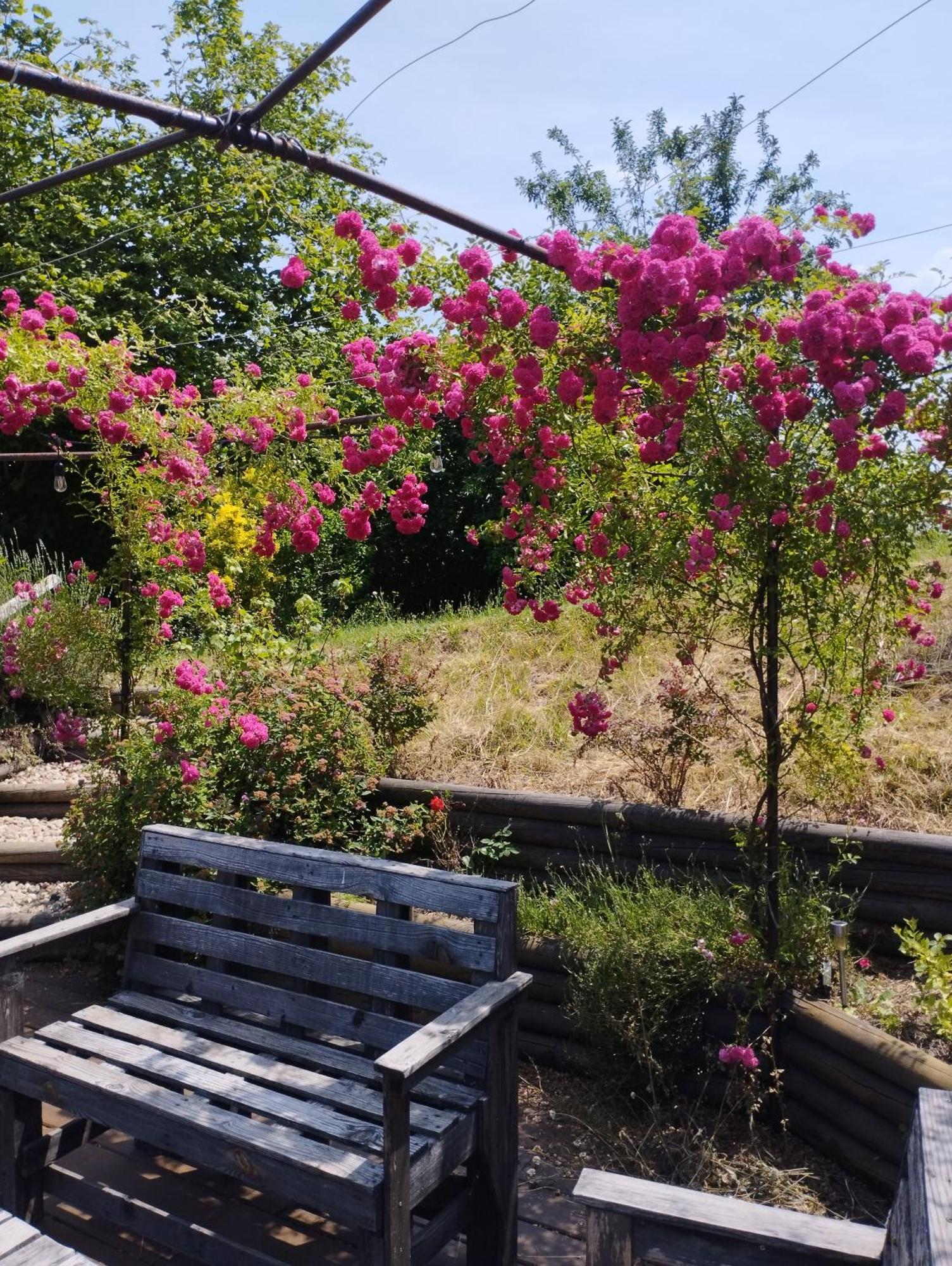 Fenetre Sur Loire Bed and Breakfast Iguerande Buitenkant foto