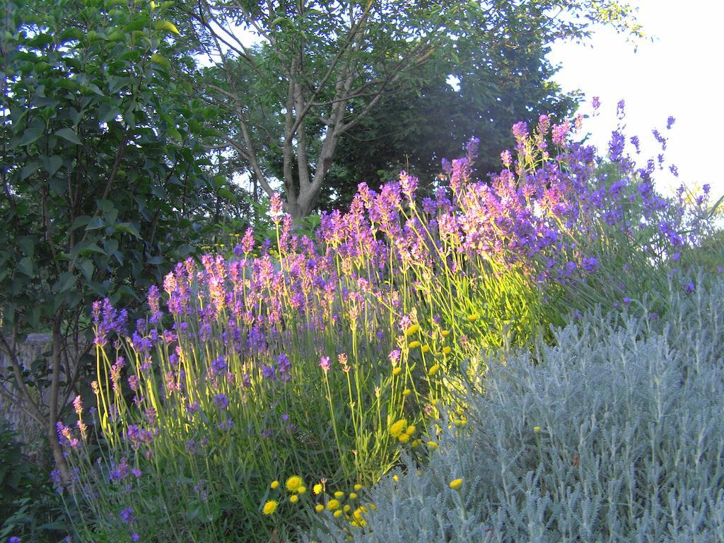 Fenetre Sur Loire Bed and Breakfast Iguerande Buitenkant foto