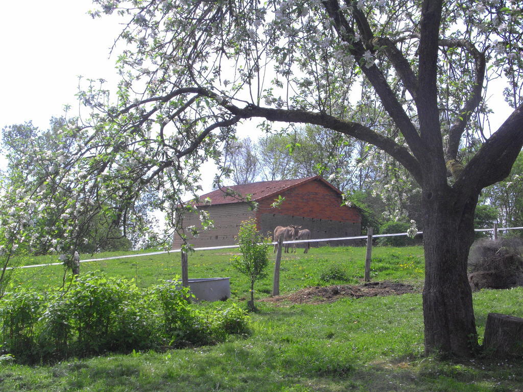 Fenetre Sur Loire Bed and Breakfast Iguerande Buitenkant foto